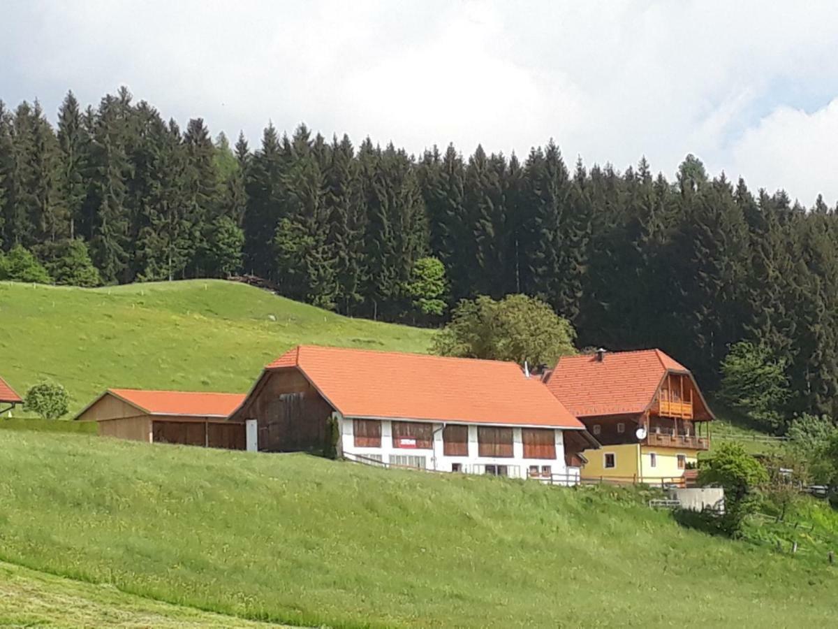 Ferienwohnung Duernberger Liebenfels 외부 사진
